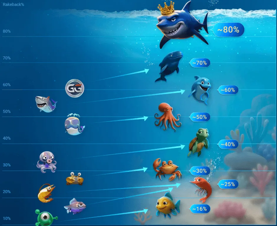 Chart of Ocean Rewards cashback rising by tier from about 16% to 80%